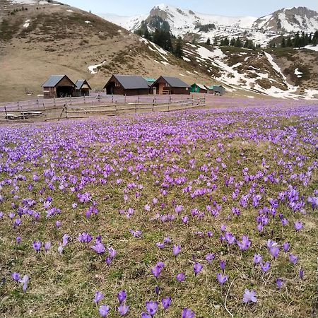 Katun Siska Medna Dolina Villa Berane Eksteriør billede