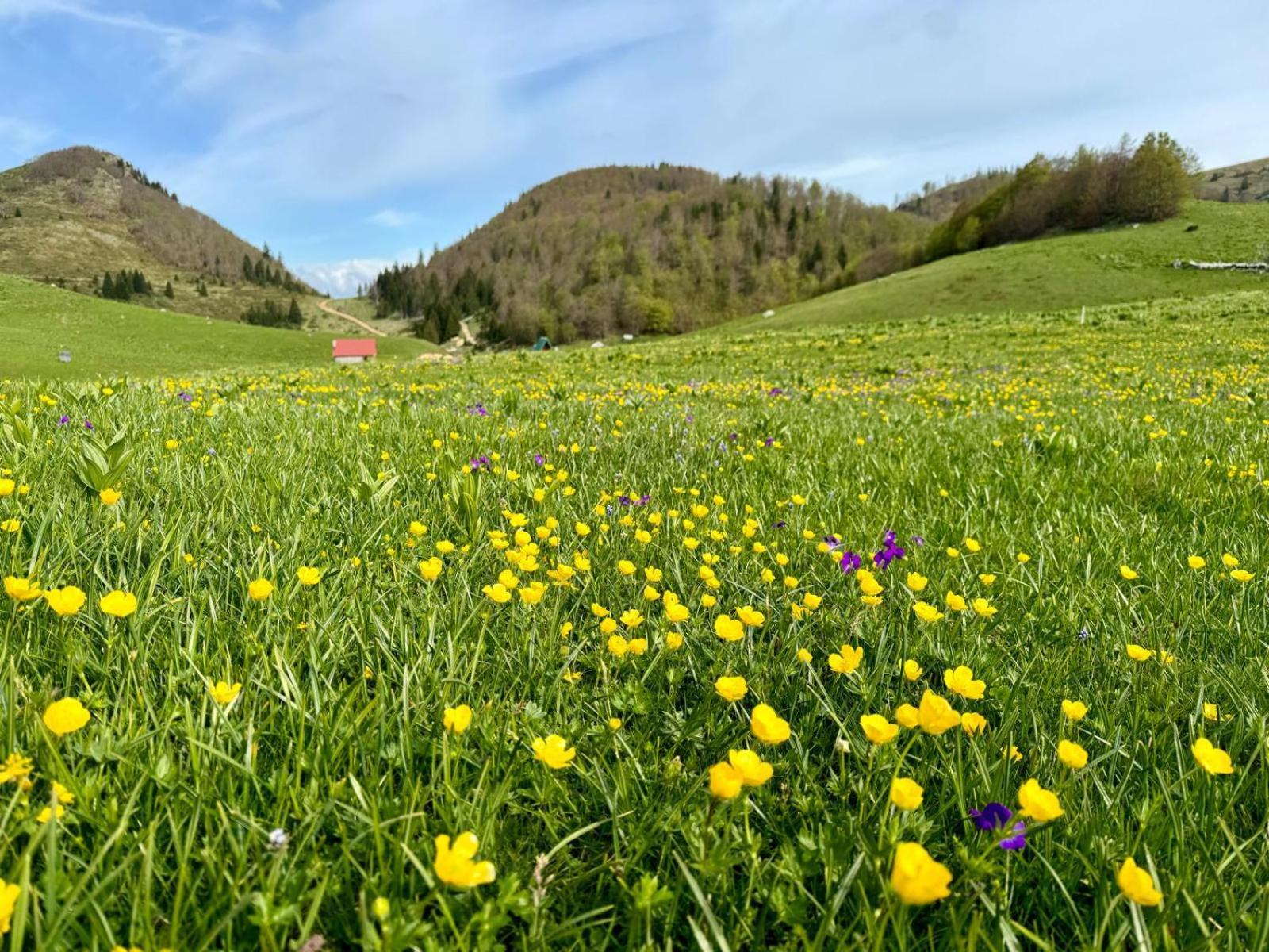 Katun Siska Medna Dolina Villa Berane Eksteriør billede