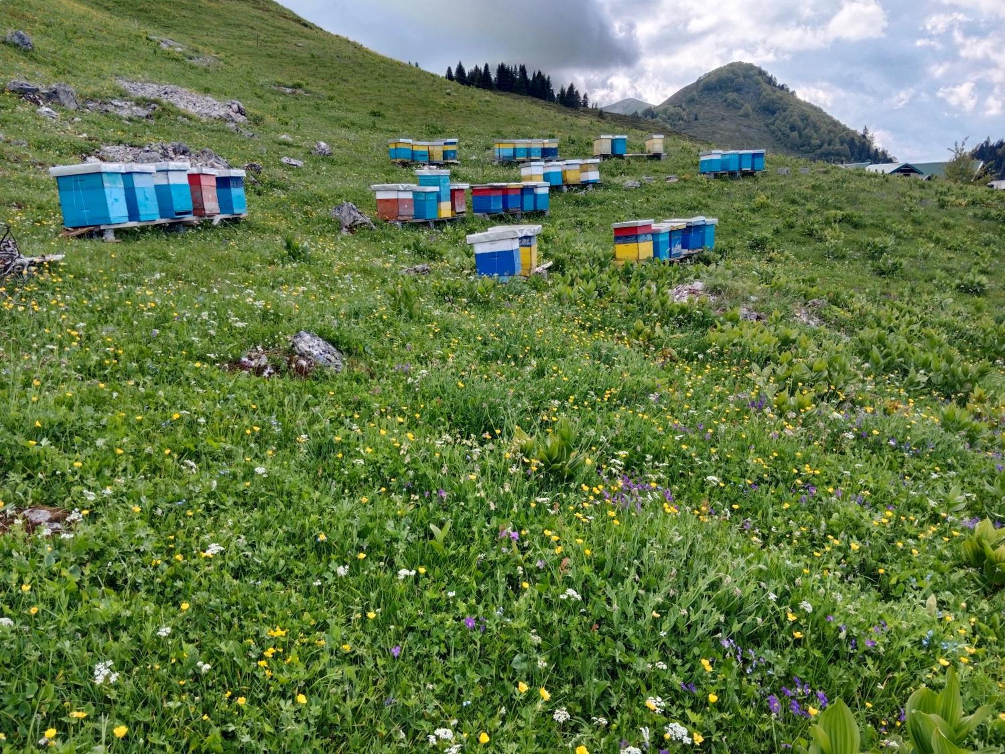 Katun Siska Medna Dolina Villa Berane Eksteriør billede